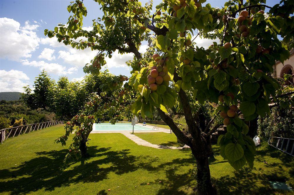 Bauernhof La Cianella - Adult Only Scarlino