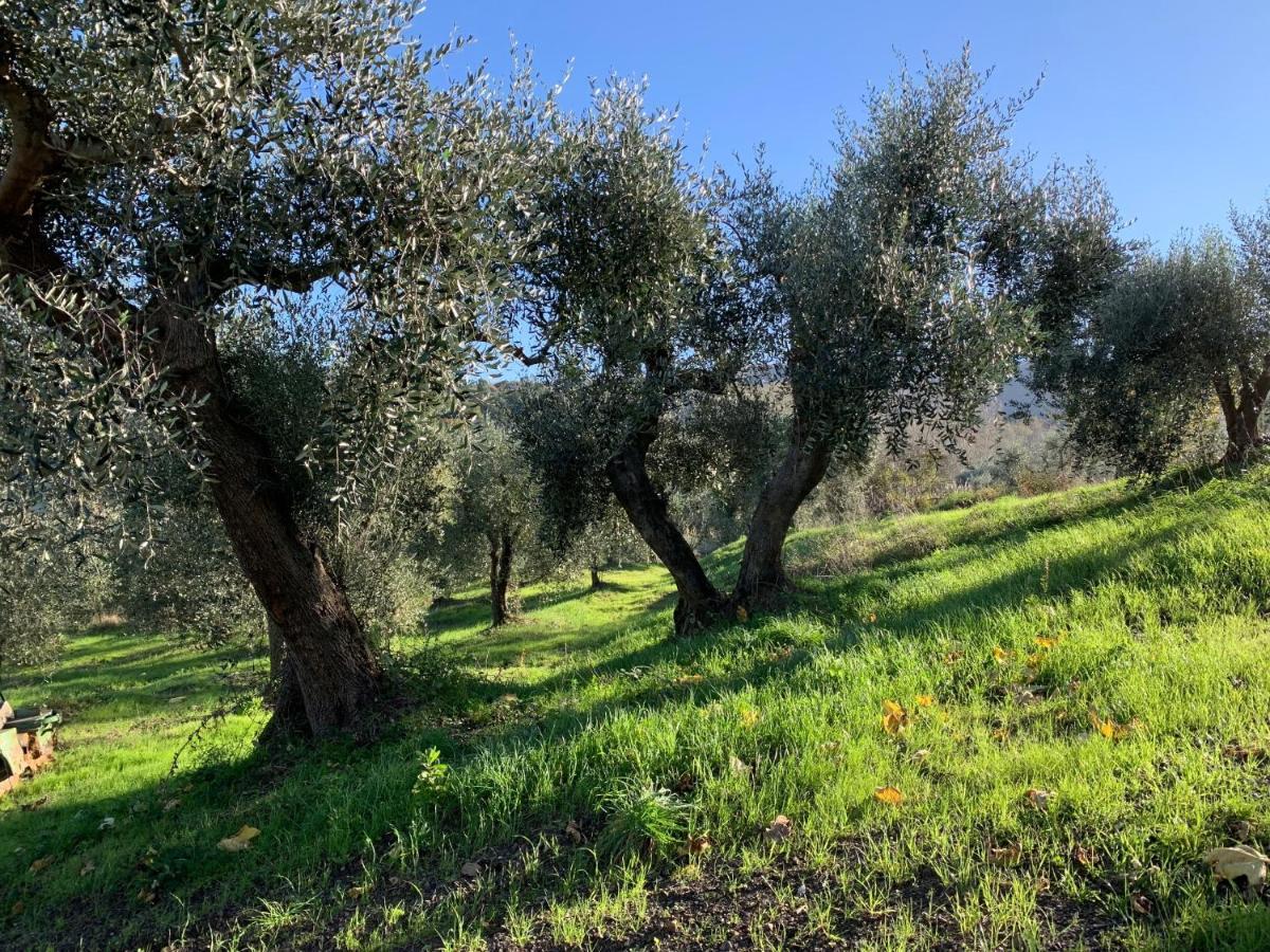 La Cianella - Adult Only Bauernhof *
